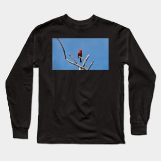 Male Northern Cardinal Perched In A Tree Long Sleeve T-Shirt